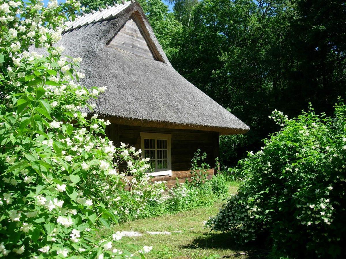 Kotka Farm Hotel Saarekula Exterior photo